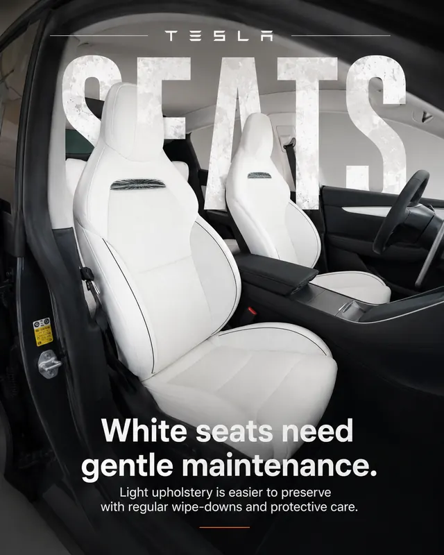 Tesla Model 3 - White seats need gentle maintenance